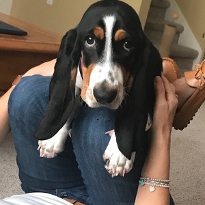 Fundraising Page: Edward Hanna